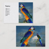 Carte De Visite PARROTS HYPER / BLEUE ARA Livre blanc Pearle (Devant / Derrière)