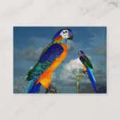 Carte De Visite PARROTS HYPER / BLEUE ARA Livre blanc Pearle (Dos)