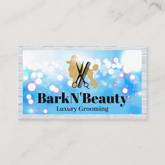 Carte De Visite Parties scintillant | Outils de mise en forme | Lu (Devant)