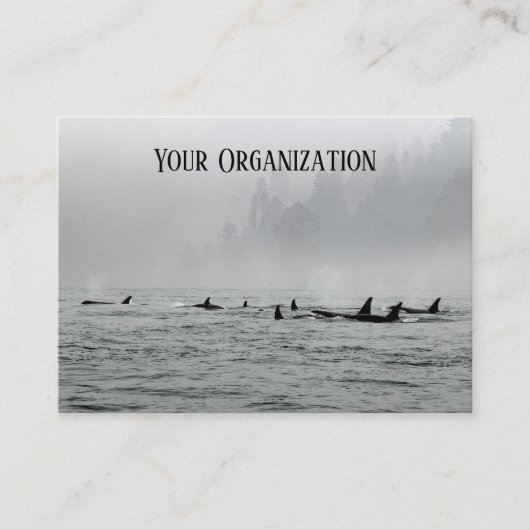 Carte De Visite Passage des baleines (Devant)