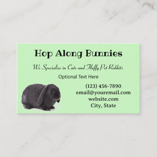 Carte De Visite Pastel Green Mini Lop Bunny Rabbit éleveur (Devant)