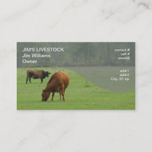 Carte De Visite pâturage brun de vaches