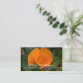 Carte De Visite Pavot de Californie (Debout devant)