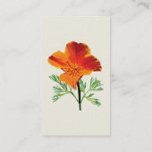 Carte De Visite Pavot de Californie (Dos)