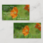 Carte De Visite Pavot de Californie orange (Devant / Derrière)