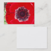 Carte De Visite Pavot rouge (Devant / Derrière)