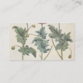 Carte De Visite Pavots : rubicundis multiplex des albumoris (Dos)