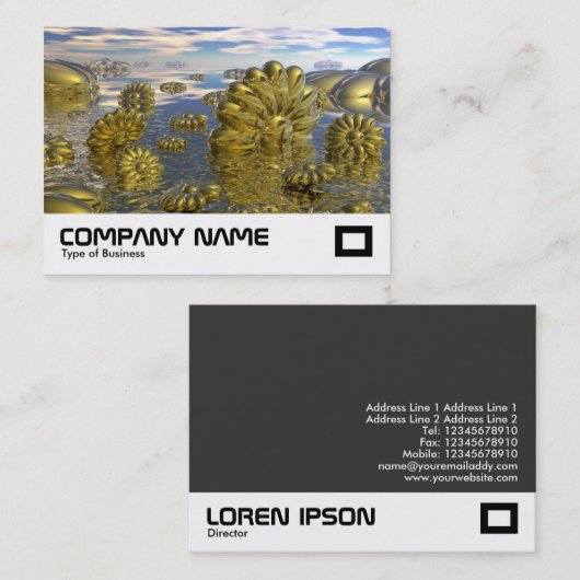 Carte De Visite Pays de Midas (Devant / Derrière)