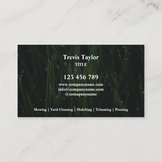 Carte De Visite Paysage de pelouse jardin professionnel moderne Bu (Dos)