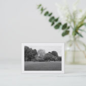 Carte De Visite Paysage du parc (bordé) (Debout devant)