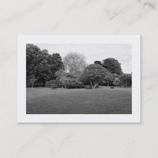 Carte De Visite Paysage du parc (bordé) (Devant)