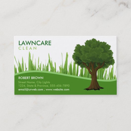 Carte De Visite Paysage jardinier Grass Clean Nature Business C (Devant)