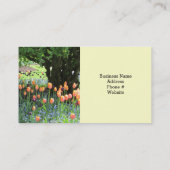 Carte De Visite Paysage La Scène Du Jardin (Dos)