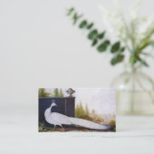 Carte De Visite Peacock blanc (Debout devant)
