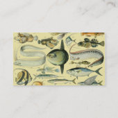 Carte De Visite Pêche scientifique vintage (Dos)