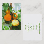 CARTE DE VISITE PÊCHES (Devant / Derrière)