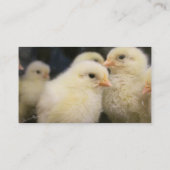 Carte De Visite Peeps (Dos)