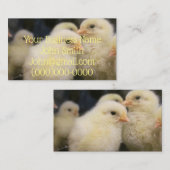 Carte De Visite Peeps (Devant / Derrière)