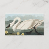 Carte De Visite Peinture Audubon White Swan Waterfowl (Dos)