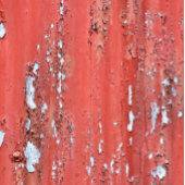 CARTE DE VISITE PEINTURE DE PEELING