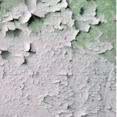 CARTE DE VISITE PEINTURE DE PEELING ANCIENNE