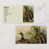 Carte De Visite Peinture d'oiseaux de Mallard Duck Audubon (Devant / Derrière)