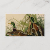 Carte De Visite Peinture d'oiseaux de Mallard Duck Audubon (Dos)