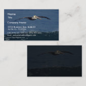 Carte De Visite Pélican (Devant / Derrière)