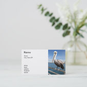Carte De Visite Pélican (Debout devant)