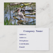 CARTE DE VISITE PELICAN (Devant / Derrière)