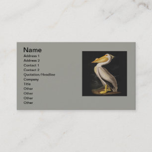 Carte De Visite Pélican blanc antique de John James Audubon côtier