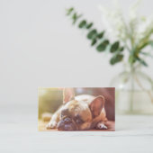 Carte De Visite peloton de taureau français (Debout devant)