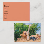 Carte De Visite Peluches (Devant / Derrière)