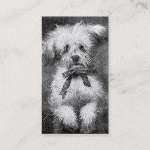 Carte de visite pelucheux de chien