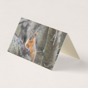 Carte De Visite Pénal