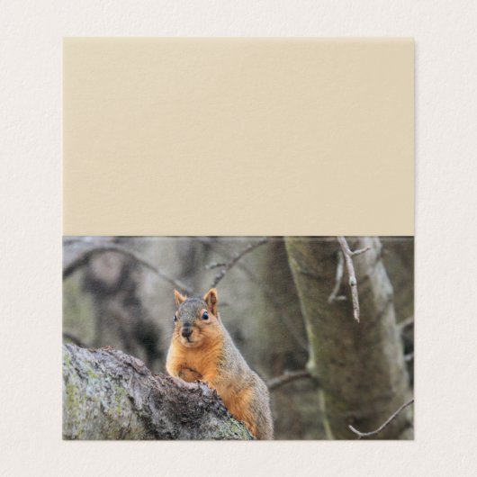 Carte De Visite Pénal (Extérieur déplié)