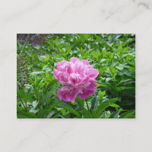Carte De Visite Peony rose (Devant)