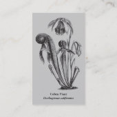 Carte De Visite Pépinière de plante carnivore (Dos)
