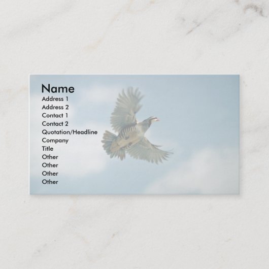 Carte De Visite Perdrix de Chukar en vol (Devant)