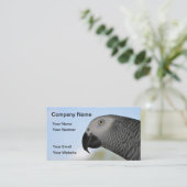 Carte De Visite Perroquet de gris africain (Debout devant)