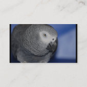 Carte De Visite Perroquet gris (Dos)