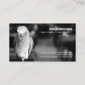 Carte De Visite Perroquet gris africain ou congo (Dos)
