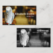 Carte De Visite Perroquet gris africain ou congo (Devant / Derrière)