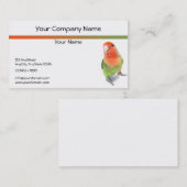 Carte De Visite Perruche sur l'arrière - plan blanc (Devant / Derrière)