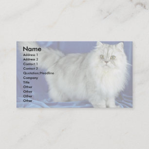 Carte De Visite Persan, étain