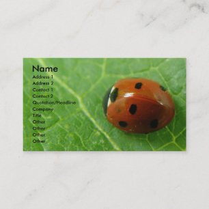 Carte de visite personnalisable Ladybug