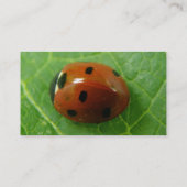 Carte de visite personnalisable Ladybug (Dos)