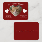 Carte de visite personnalisable pour chatterie (Devant / Derrière)