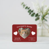 Carte de visite personnalisable pour chatterie (Debout devant)