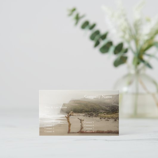 Carte De Visite Pescadero 2024/11 (Debout devant)